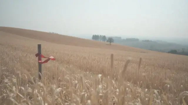 Ile kosztuje metr kwadratowy działki budowlanej? Ceny w Polsce 2024