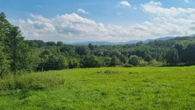 Najlepsze atrakcje w Dębowcu, które musisz zobaczyć podczas wizyty