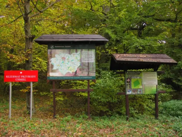 Rezerwat przyrody Chmiel - odkryj unikalne piękno i zagrożenia