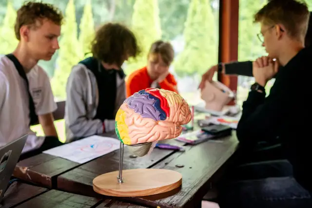 Model mózgu na stole, wokół niego siedzą młodzi ludzie, patrzą na niego.