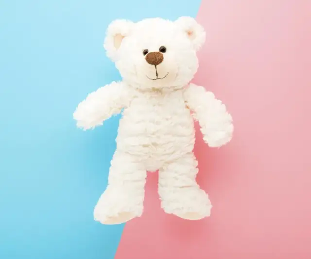 Kto śpiewa "Białego Misia"? Rozwiewamy zagadkę i spór o prawa