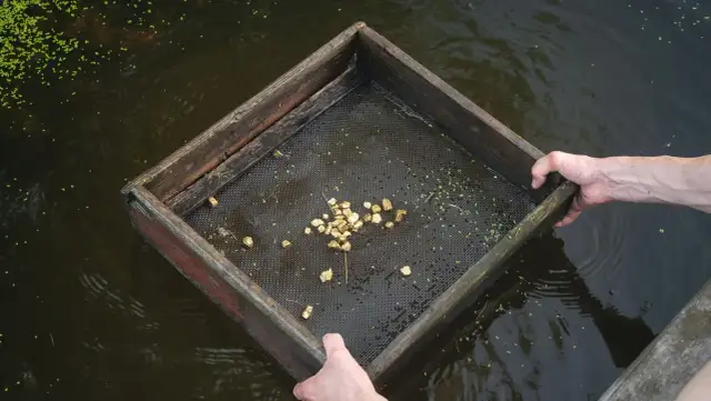 Czy w polskich rzekach jest złoto? Odkryj miejsca i metody poszukiwań