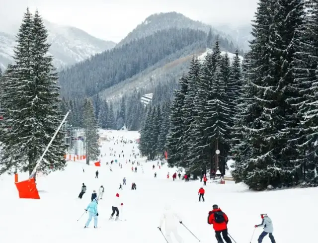 Gdzie na narty w Słowacji? Odkryj najlepsze stacje narciarskie