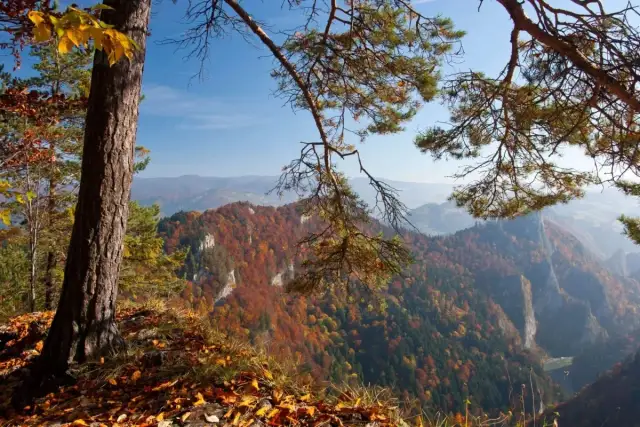Polskie góry bez auta: Które miejscowości są najlepiej skomunikowane?