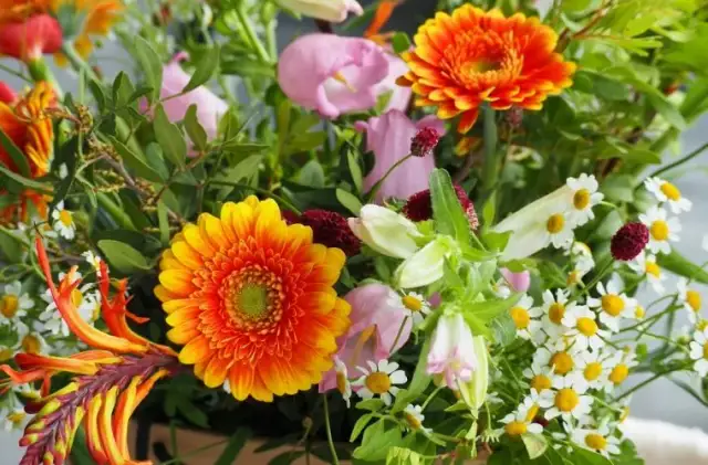 Życzenia na sobotę i niedzielę, które rozświetlą Twój weekend