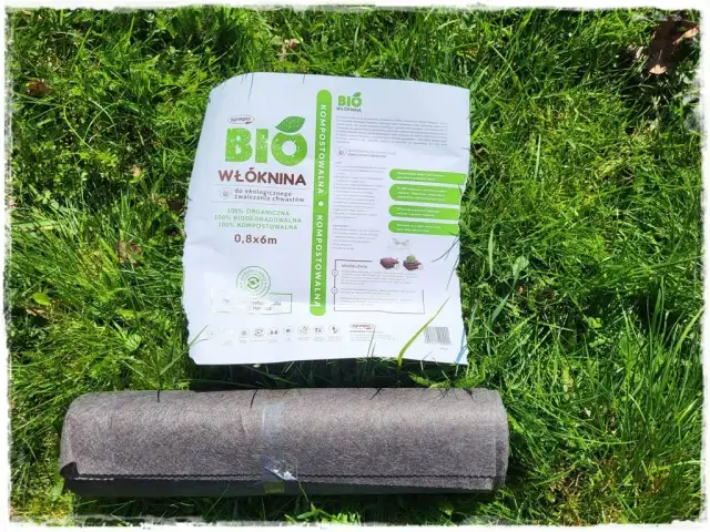 Jak skutecznie zwalczać chwasty z rozłogami i chronić glebę