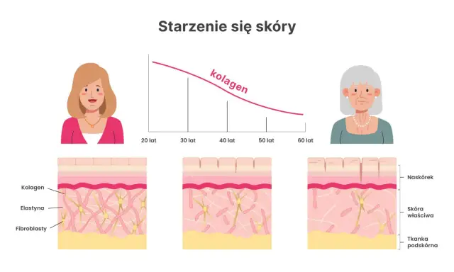 Jaki kolagen polecają lekarze? Sprawdzone suplementy dla zdrowia skóry