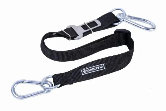 Jaka smycz dla psa? Klucz do bezpiecznych i radosnych spacerów