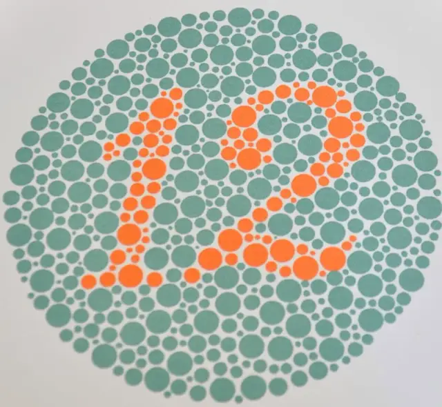 Daltonizm a zawody: Które ścieżki kariery są dla Ciebie?