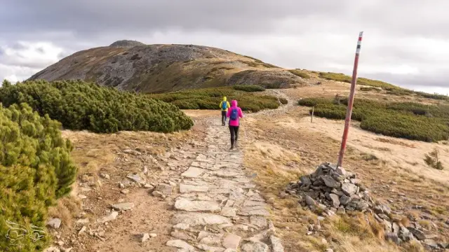 Czerwony szlak na Babią Górę: Ile km, czas, trudność? Poradnik.