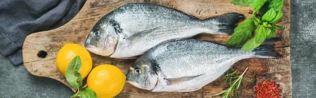 Jakie ryby na keto? Odkryj najlepsze tłuste ryby dla zdrowia