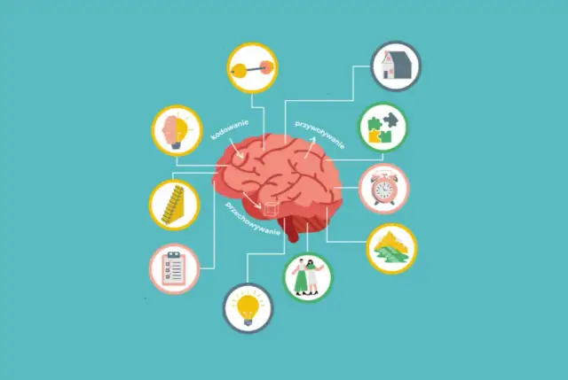 Procesy edukacyjne: Jak uczyć się i nauczać skuteczniej?