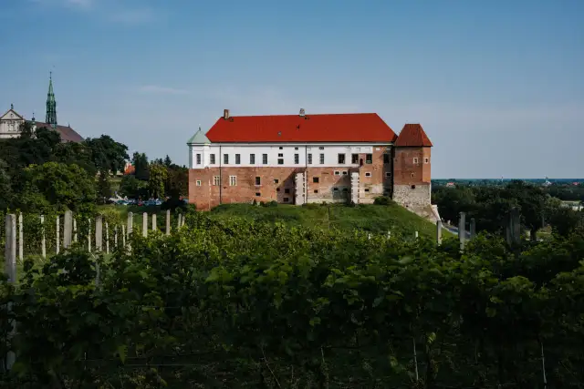 Co zjeść w Sandomierzu? Najlepsze potrawy i miejsca do spróbowania