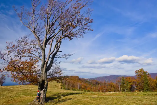 Jakie góry ciągną się na granicy polsko-słowackiej? Odkryj ich tajemnice