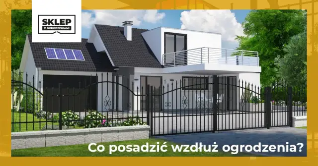 Co posadzić wzdłuż ogrodzenia, by stworzyć piękny i gęsty żywopłot