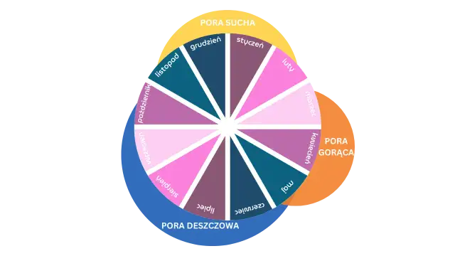 Kiedy najlepiej jechać do Tajlandii, aby uniknąć deszczu i tłumów?