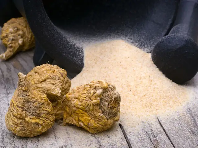 Korzeń maca - czy jest zdrowa? Przewodnik po właściwościach