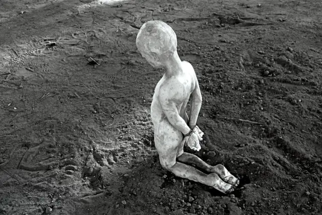 Tomasz Górnicki: Rzeźbiarz, który zmienia sztukę. Poznaj jego dzieła!