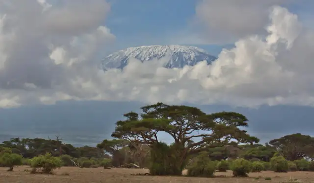 Kilimandżaro, najwyższy szczyt Afryki, w chmurach. Ciekawostki o tym majestatycznym wulkanie zachwycają.