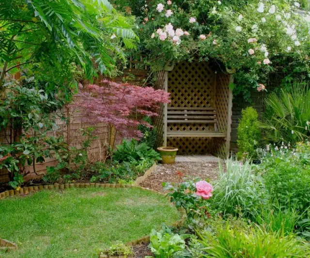 Co posadzić na działce rekreacyjnej, aby cieszyć się pięknem i plonami?