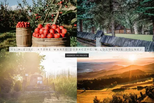 Najlepsze atrakcje w Łososinie Dolnej, które musisz zobaczyć