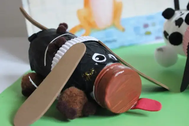 Jak zrobić zabawkę dla psa z butelki - proste i bezpieczne pomysły