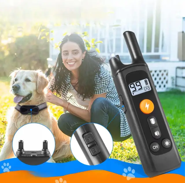 Jak tresować psa z obrożą elektryczną, aby uniknąć błędów i stresu