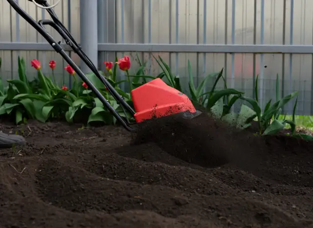 Glebogryzarka do wyrównania terenu? Sprawdź, czy wystarczy!