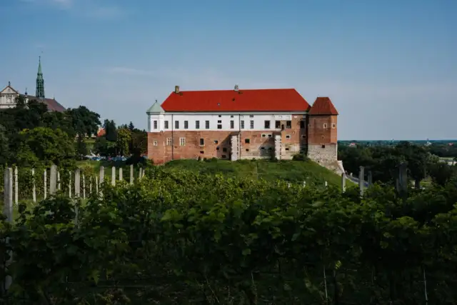 Sandomierz: Gdzie zjeść? Moje TOP miejsca i lokalne smaki