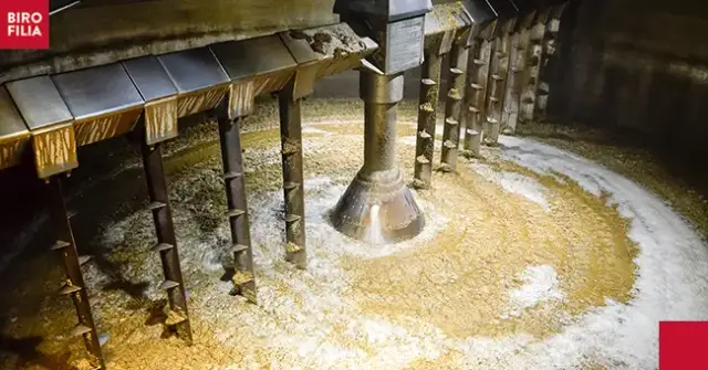 Jak się robi piwo bezalkoholowe - proste metody i skuteczne techniki