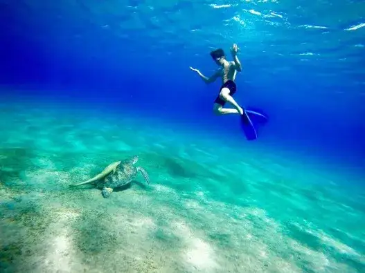 Zatoka Abu Dabbab: Niezapomniane nurkowanie i atrakcje w Egipcie