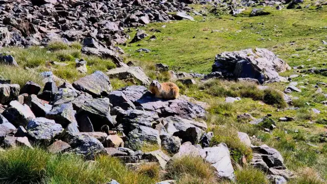 Pireneje: Jakie to góry? Wszystko, co musisz wiedzieć przed wyjazdem