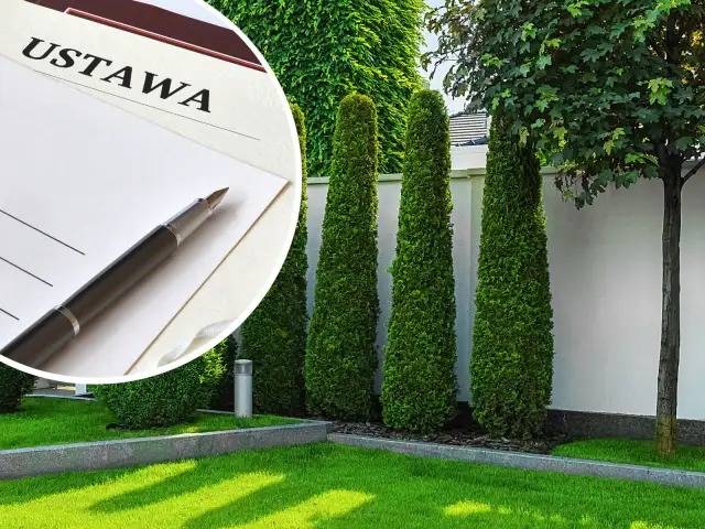 Prywatność przy płocie: Jak sadzić rośliny legalnie i w zgodzie z sąsiadem?
