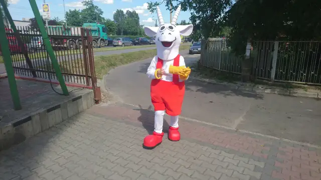 Jak zrobić strój koziołka matołka – łatwe kroki i materiały do szycia