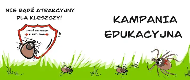 Jak uniknąć boreliozy? Praktyczny poradnik ochrony przed kleszczami