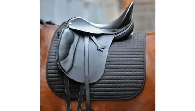 Siodło: Ile kosztuje i jak nie przepłacić? Przewodnik eksperta.