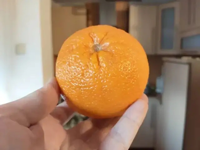 Czy pomarańcza tuczy? Odkryj prawdę o owocach i odchudzaniu