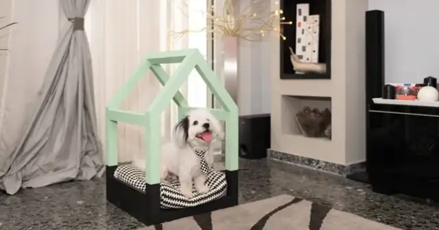 Jak zrobić legowisko dla psa z palet - proste kroki i bezpieczeństwo