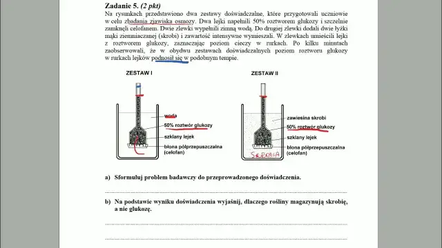 Zjawisko osmozy: Jak działa i dlaczego jest kluczowe w biologii?