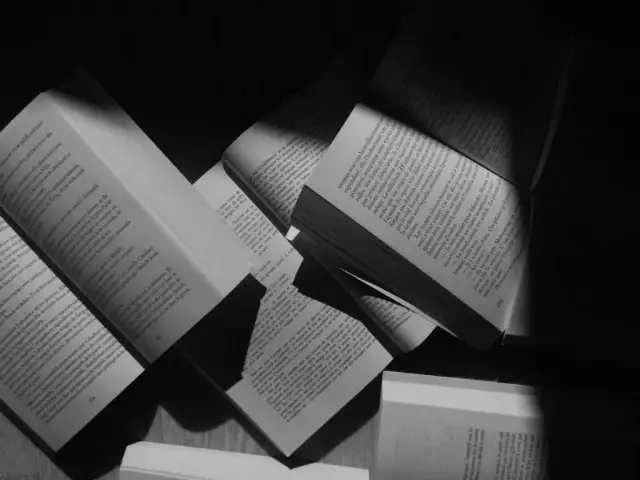 Co to jest literatura piękna – definicja, cechy i przykłady dzieł