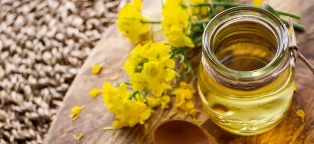 Czy olej rzepakowy ma gluten? Rozwiewamy wątpliwości!