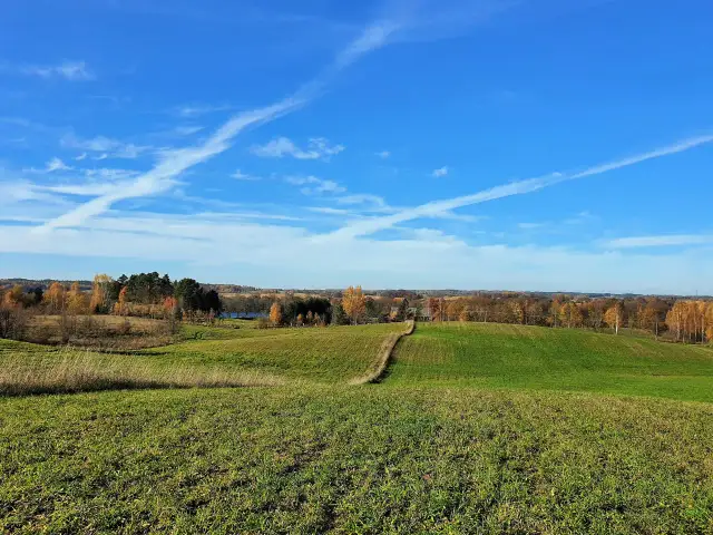 Ile można zarobić na hektarze ziemi? Kluczowe czynniki wpływające na dochody