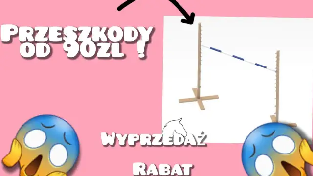 Przeszkody dla koni jak zrobić: proste kroki i materiały na start