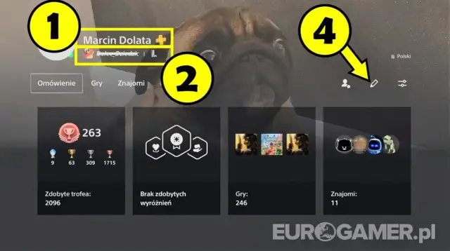 Zmiana nicku w PSN: Czy stracisz trofea? Poradnik i ryzyka