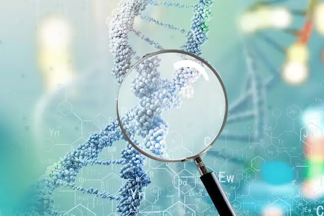 Ustalenie ojcostwa: Pytania sądu, DNA. Jak się przygotować?