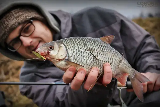 Spinning w Polsce: Jakie ryby łowić? Poradnik eksperta