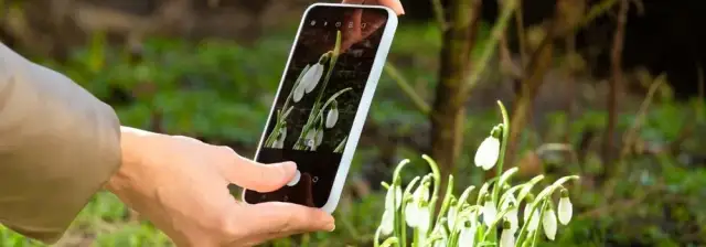 Po co 3 aparaty w telefonie? Odkryj ich niesamowite zalety