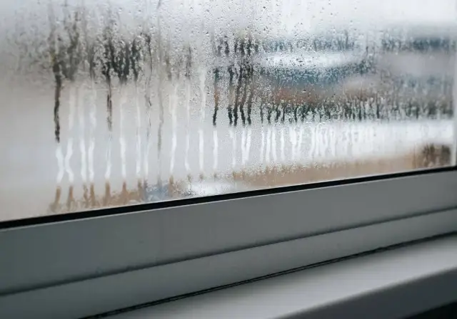 Jak poradzić sobie z wilgocią na oknach i uniknąć pleśni w domu
