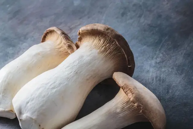 Jak uprawiać boczniaka mikołajkowego w domu: 5 prostych kroków do sukcesu