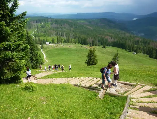 Piękny szlak na Rusinową Polanę i Gęsią Szyję: trasa i atrakcje